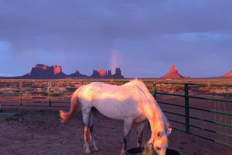 Monument Valley: Horseback Adventure Tour - Good To Know