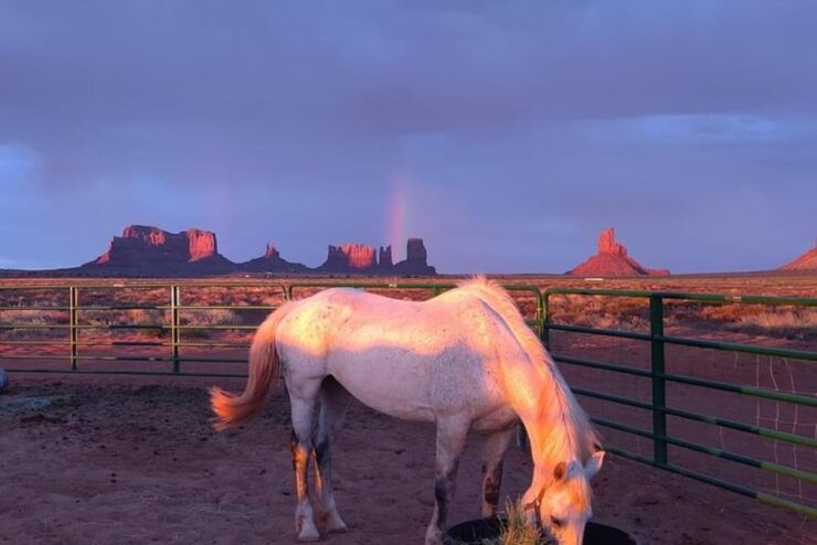 Monument Valley: Horseback Adventure Tour - Experience Highlights