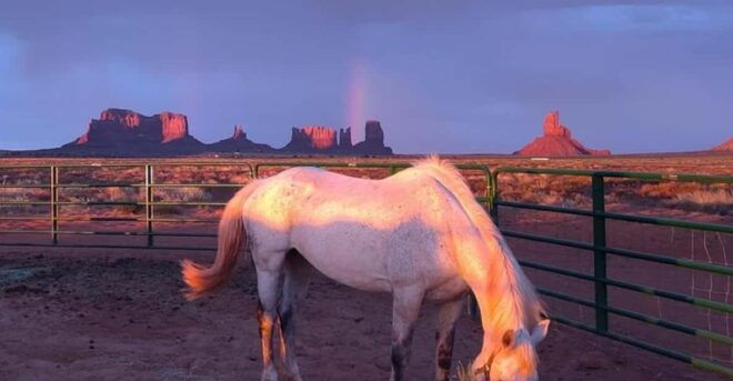 Monument Valley: Horseback Adventure Tour - Tour Inclusions