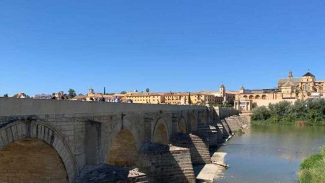 Monumental Córdoba From the Costa Del Sol - Highlights and Experiences