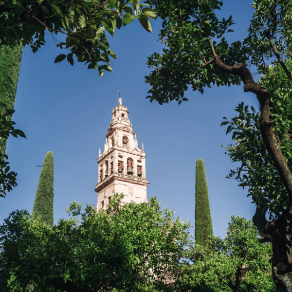 Monumental Córdoba From the Costa Del Sol - Guided Tour Details