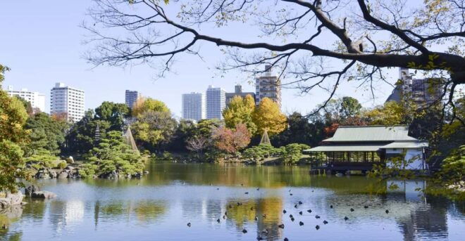 Monzen-Nakachō: Walking Tour With Sashimi Lunch & Teamlab - Dining Experience at Iroha