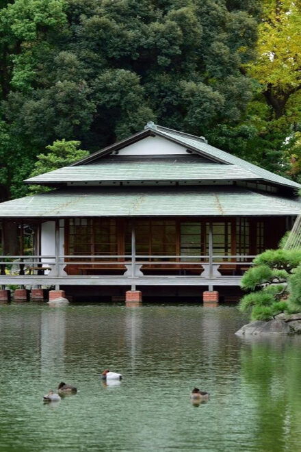 Monzen-Nakachō: Walking Tour With Sashimi Lunch & Teamlab - TeamLab Planets Visit