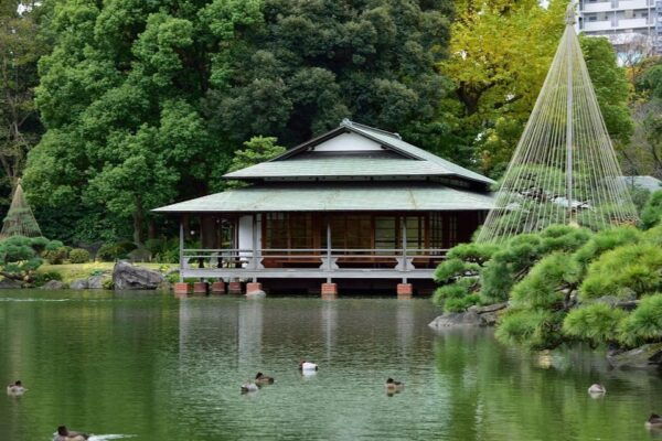 Monzen-Nakachō: Walking Tour With Sashimi Lunch & Teamlab - Booking and Cancellation Policy