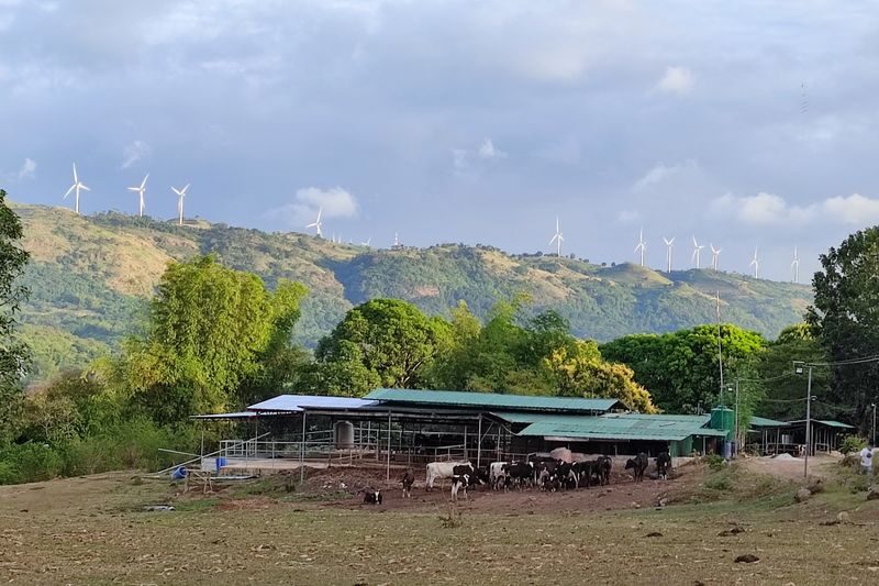 Moolk Farm Tour in Rizal - Activities need a quick check