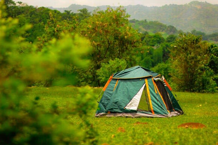 Moolk Farm Tour in Rizal - Getting good value from your visit