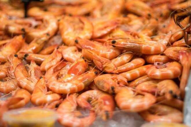 Mooloolaba: Seafood Lunch Cruise - Review Summary
