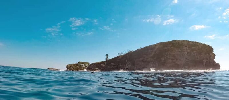 Mooloolaba: Snorkel with Turtles Mudjimba Island - Final Thoughts