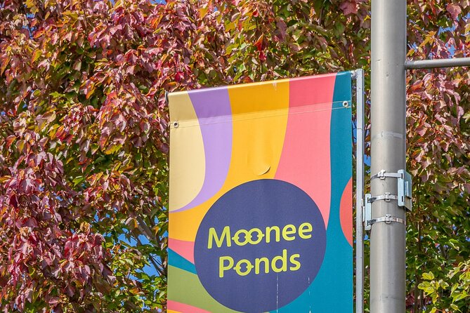Moonee Ponds Trail - Recommended Equipment