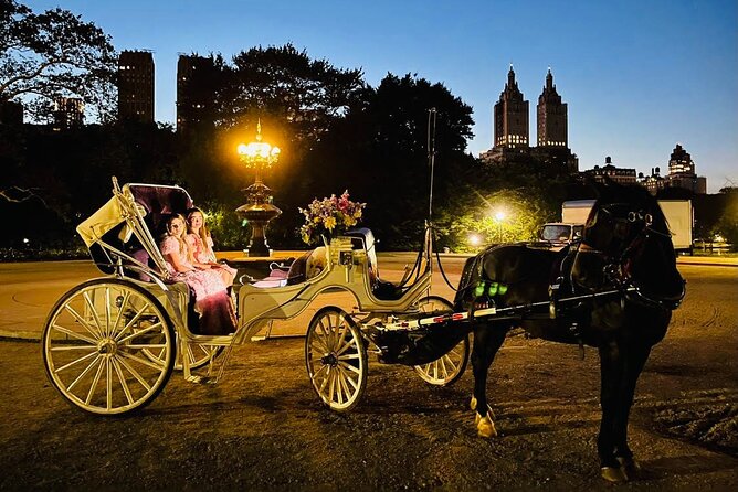 MOONLIGHT RIDE Central Park With Photo (45 Min) Skip the Line - Overview and Highlights