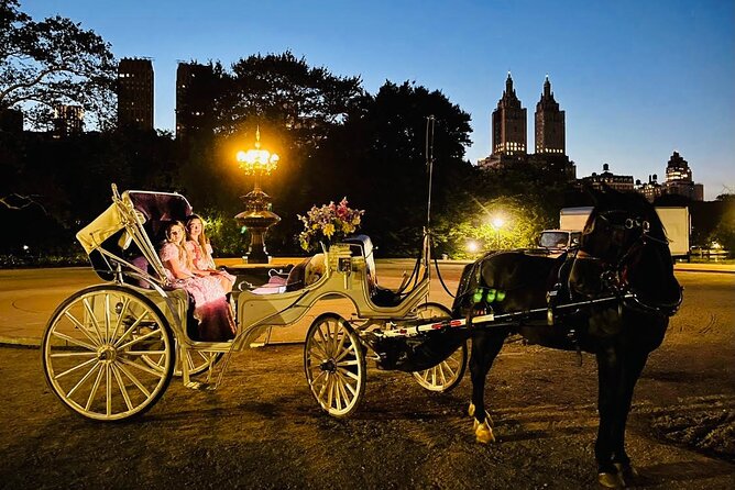 MOONLIGHT RIDE Central Park With Photo (45 Min) Skip the Line - Cancellation Policy