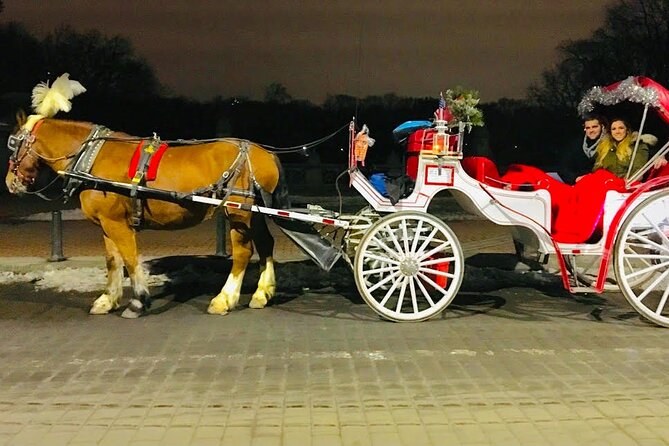 MOONLIGHT RIDE Central Park With Photo (45 Min) Skip the Line - Common Questions