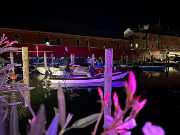 Moonlight Rowboat Romance - Safety Measures and Policies
