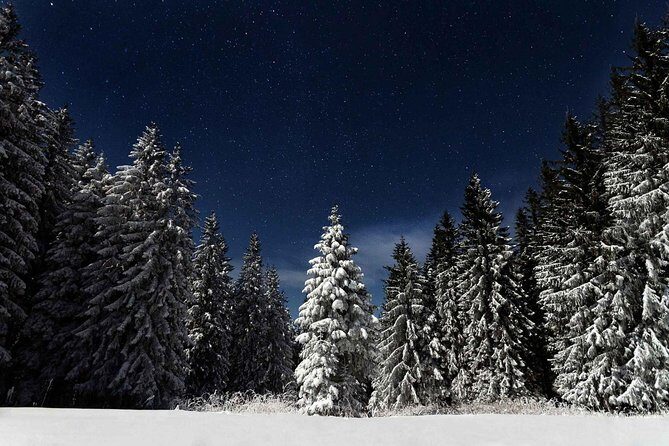 Moonlight Snowshoe Hike - An In-Depth Look at the Moonlight Snowshoe Hike