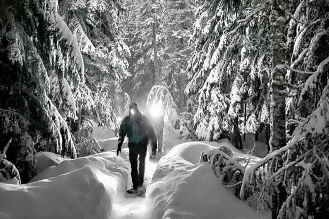 Moonlight Snowshoe Hike - The Sum Up: A Night to Remember in the Snow