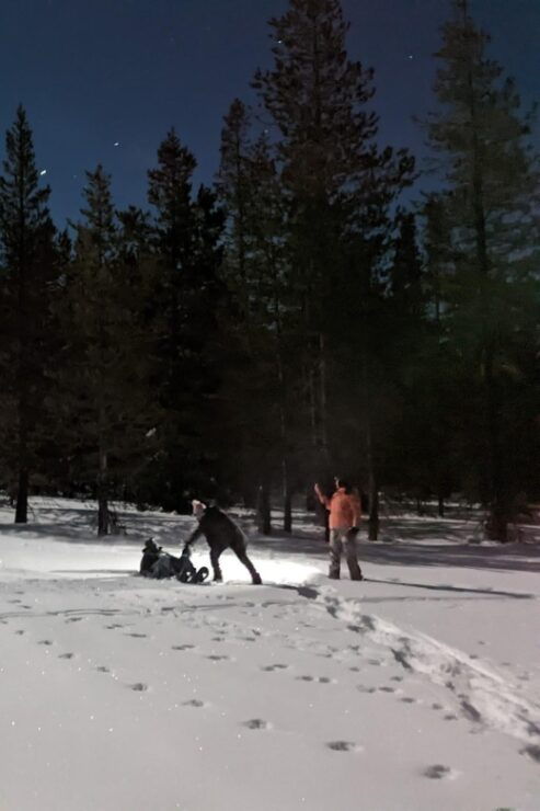Moonlight Snowshoe Tour Under a Starry Sky - Tour Location