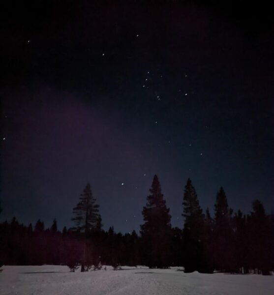 Moonlight Snowshoe Tour Under a Starry Sky - Booking Details