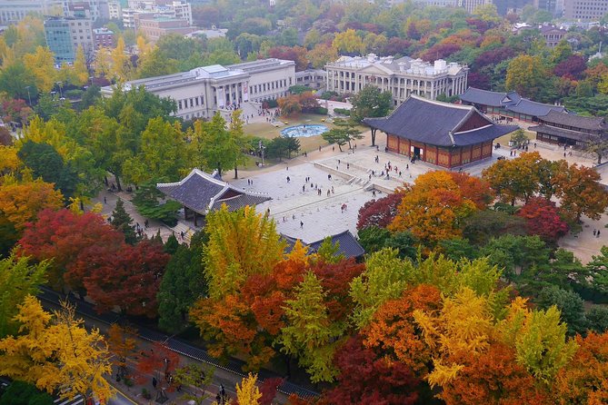 Moonlight Stroll at Seoul Palace - Exploring the Palace Grounds