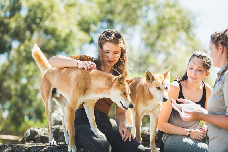 Moonlit Sanctuary Ticket or Bus Tour - Choosing admission or a Melbourne day tour