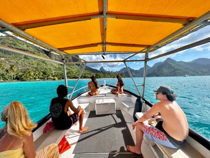 Moorea 4H Shared Boat Tour Whale Swimming and Snorkeling - What Makes This Tour Stand Out?