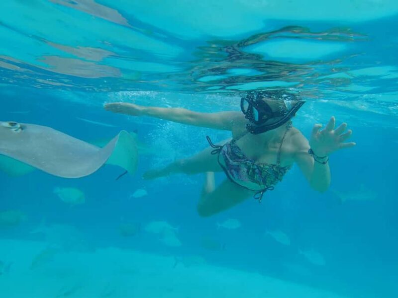 Moorea 4H Shared Boat Tour Whale Swimming and Snorkeling - Authentic Experiences from Reviewers