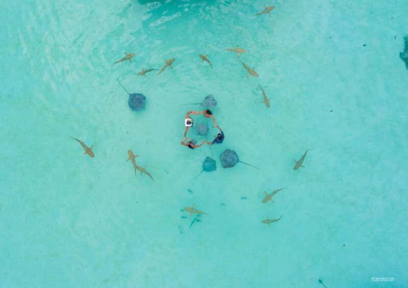 MOOREA 6H PRIVATE BOAT TOURS SNORKELING & LUNCH - Introduction