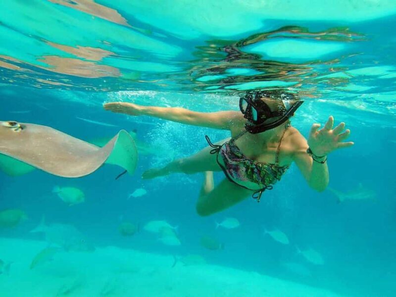 MOOREA 6H PRIVATE BOAT TOURS SNORKELING & LUNCH - Why This Tour Stands Out