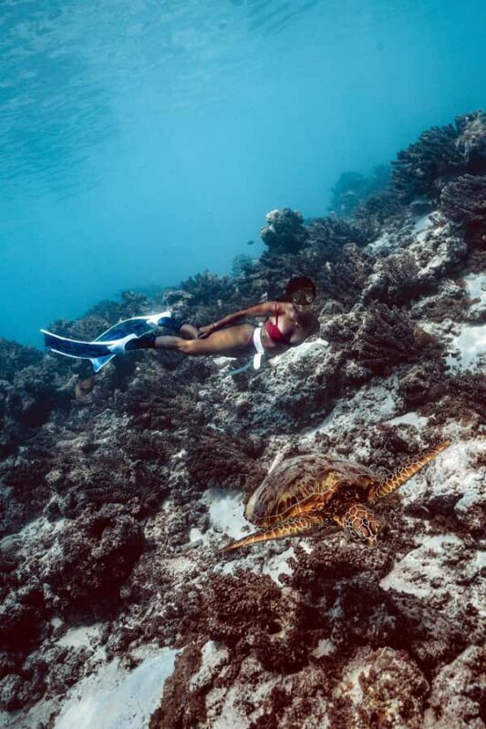 MOOREA 6H PRIVATE BOAT TOURS SNORKELING & LUNCH - The Value of the Experience