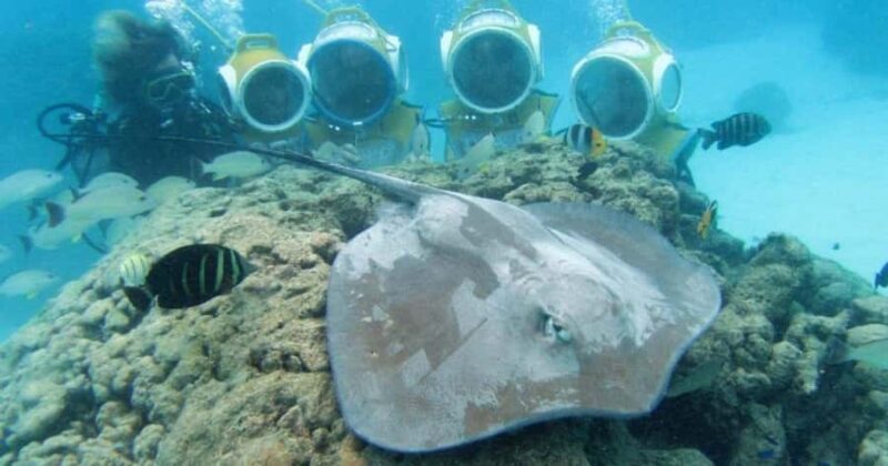 Moorea: Aquablue Helmet Underwater Walking Experience - The Experience Itself