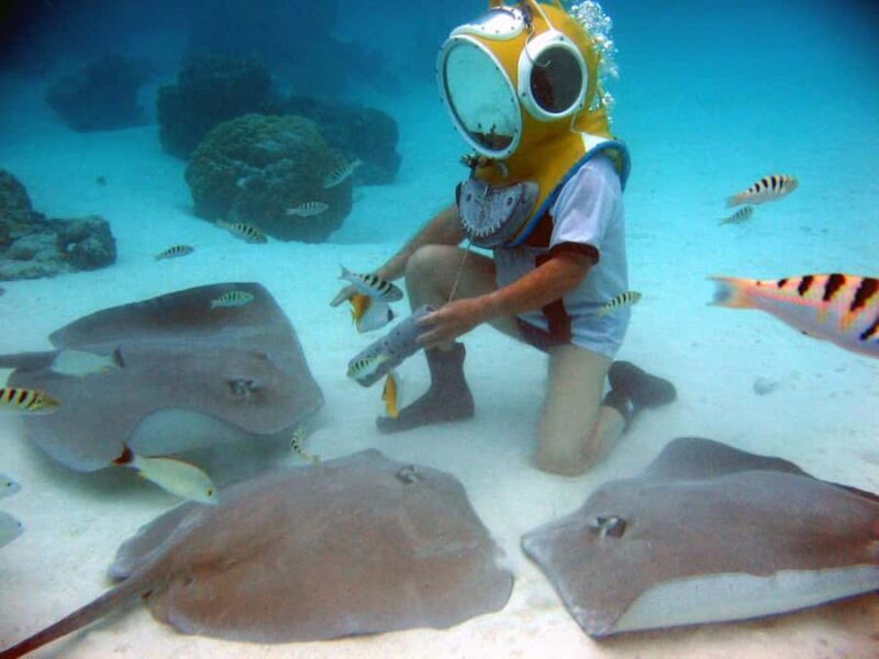 Moorea: Aquablue Helmet Underwater Walking Experience - Practical Details and Logistics