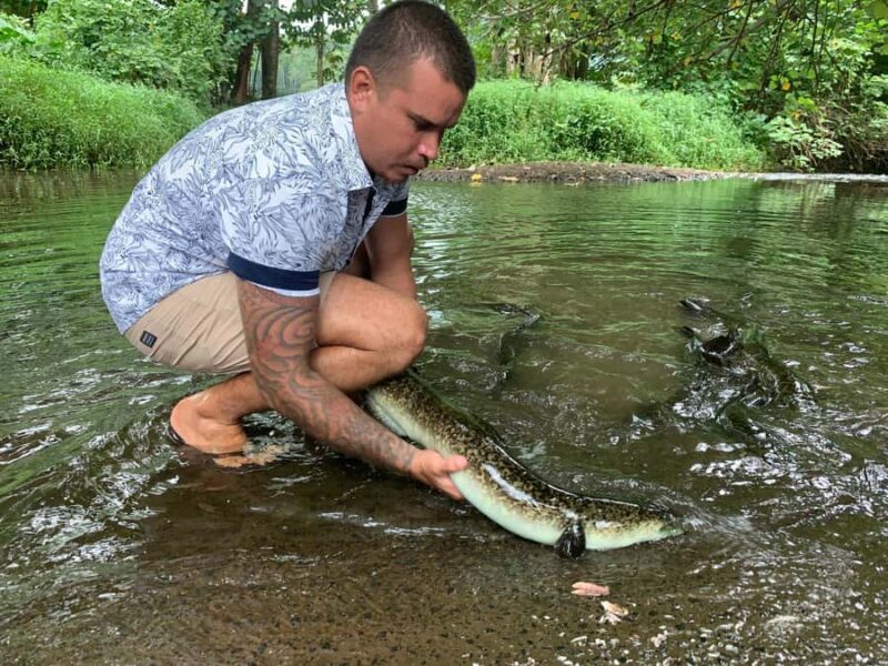 Moorea Cruise Ships: 4x4, Belvedere,Magic Mountain pineaple - Final Thoughts