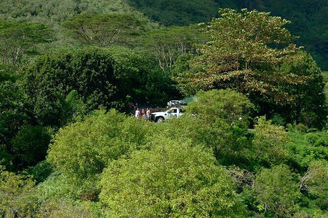 Moorea Cruise Ships: 4x4, Belvedere,Magic Mountain pineaple - What Reviewers Say: Authentic Voices and Tips