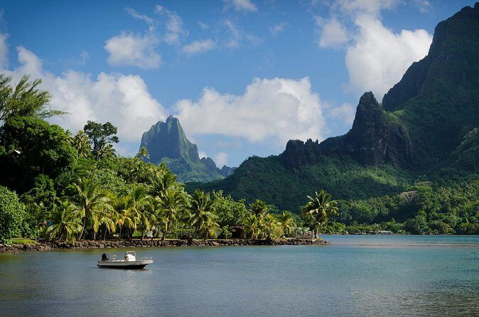 Moorea Full-Day Hiking Experience  Private Shore Tour - Practical Details: What to Expect