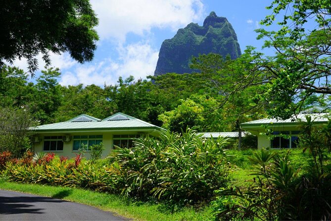 Moorea Full-Day Jet Ski and All-Terrain Vehicle Adventure Combo Tour - Good To Know