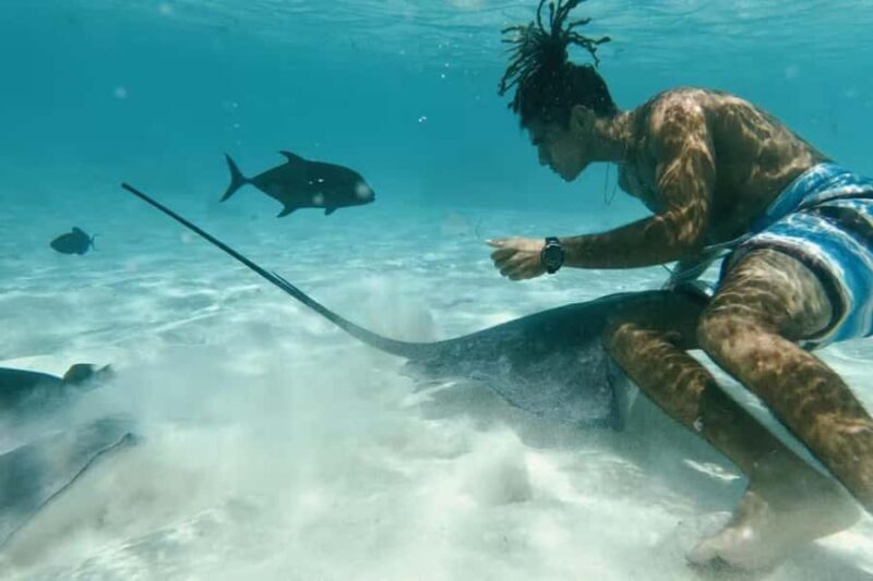 Moorea: Glass Bottom Boat Adventure with Lagoon Wonders - Introduction: A Unique Marine & Cultural Experience in Moorea