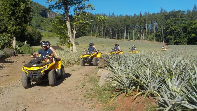 Mo'orea: Guided ATV Nature Tour - Good To Know