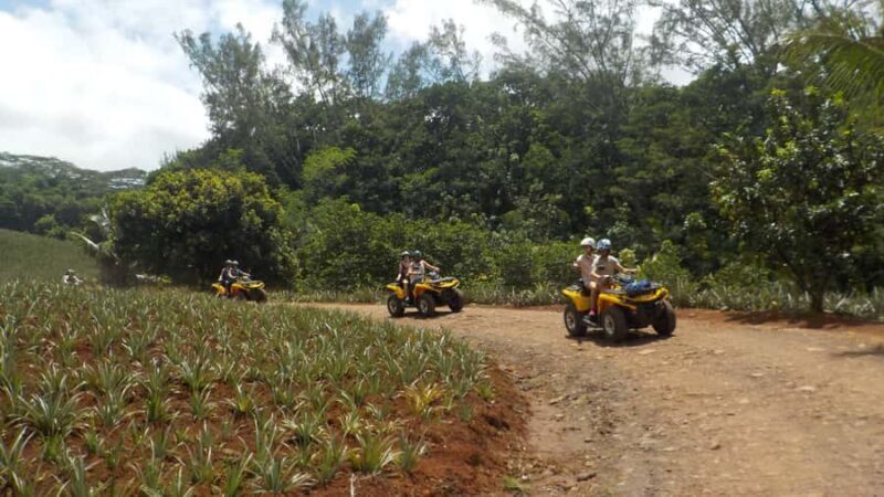 Mo'orea: Guided ATV Nature Tour - An In-Depth Look at the Moorea ATV Guided Tour