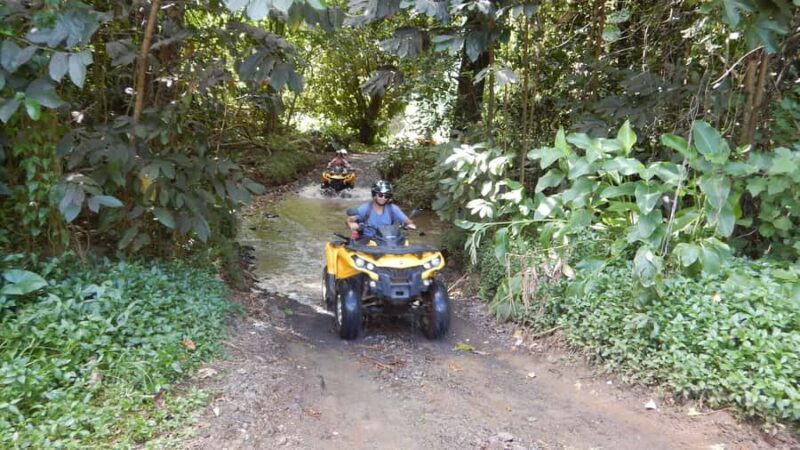 Mo'orea: Guided ATV Nature Tour - Final Thoughts: Is It Worth It?