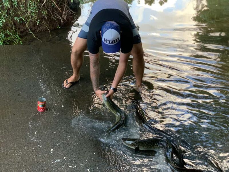 Moorea: Half-Day Open-Air 4WD Safari with Hotel Transfers - FAQs about the Moorea Safari Tour