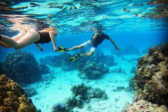 Mo'orea Half Day Private Tour with Snorkeling and Cruising the Lagoon - Good To Know