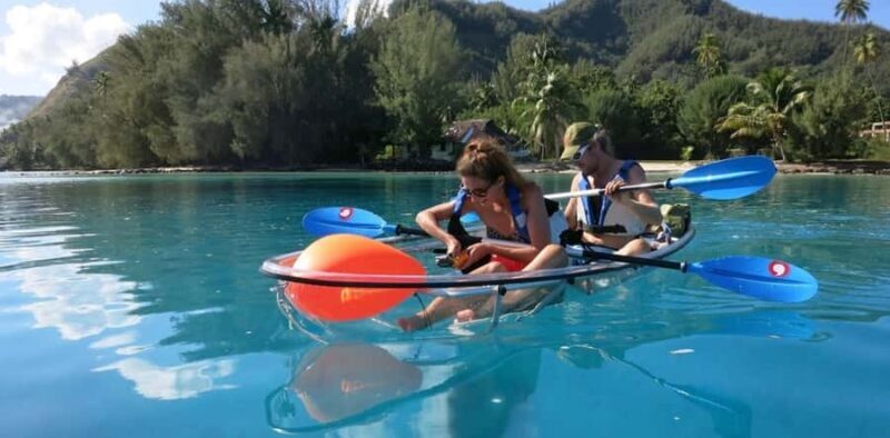 Moorea: Hauru Lagoon 3-hour Guided Kayak Tour with Snack - Final Thoughts on the Moorea Lagoon Kayak Tour
