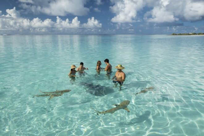 Moorea Highligts: Blue Laggon Shore Attractions and Lookouts - Additional Experiences