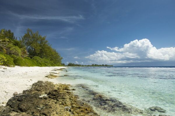 Moorea Highligts: Blue Laggon Shore Attractions and Lookouts - The Sum Up