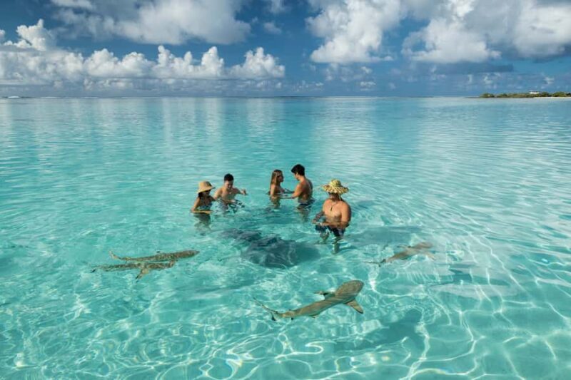 Moorea Highligts: Blue Lagoon Shore Attractions and Lookouts - Practical Details: What to Expect