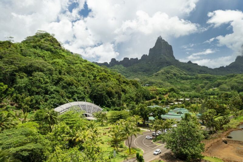 Moorea Highligts: Blue Lagoon Shore Attractions and Lookouts - Who Is This Tour For?