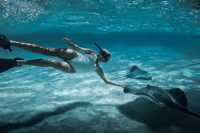 Moorea: Private Snorkeling Tour with Certify Guide - Good To Know