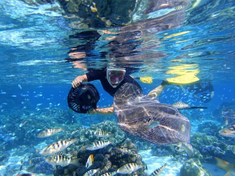 Moorea: Sea Scooter Snorkeling Tour - FAQ