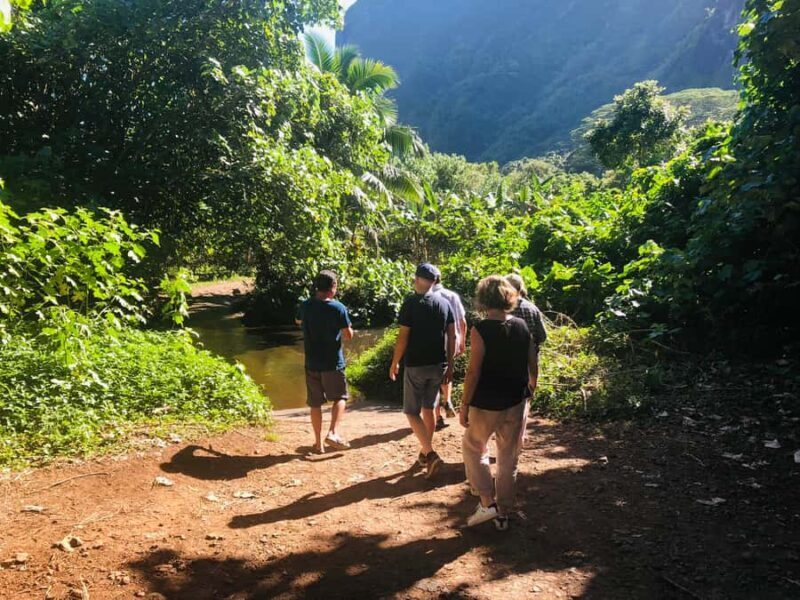 Moorea:4X4 safari excursion between land and sea with lunch - Final Thoughts: Is This Tour Worth It?