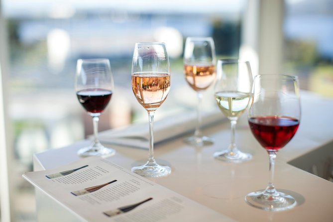 Moorilla Winery Tour: Wine Tasting, Lunch, Mona Admission  - Hobart - Visitor Feedback and Reviews