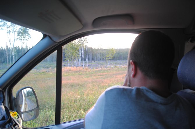 Moose Safari in the Wild Sweden Tiveden - Moose Safari Experience
